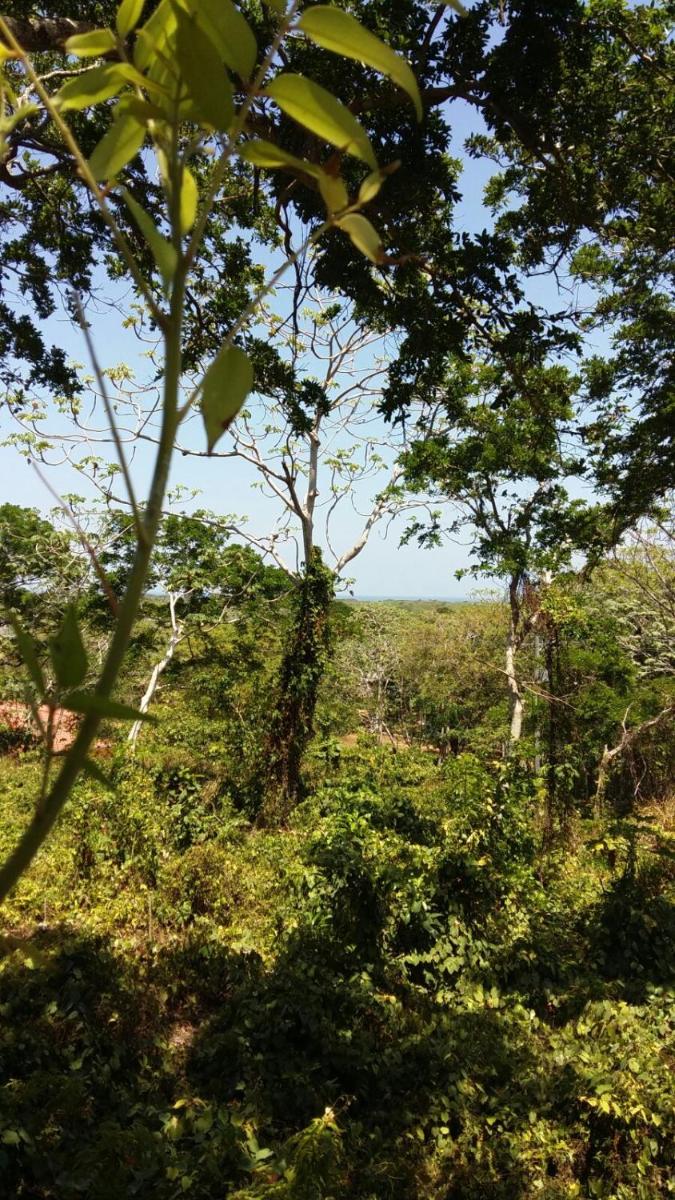 Apartments Chez Milady - Housity