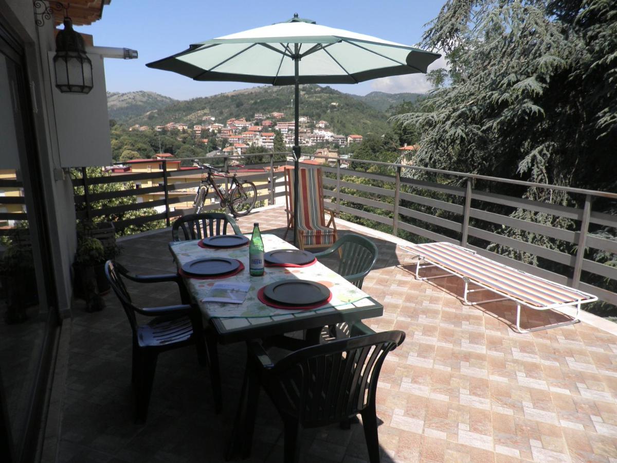 La casa tra gli alberi - Housity