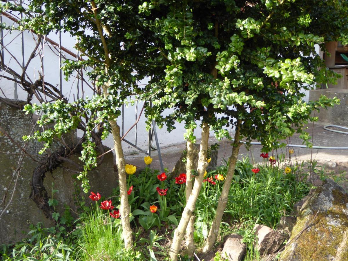Les Rosiers - Housity