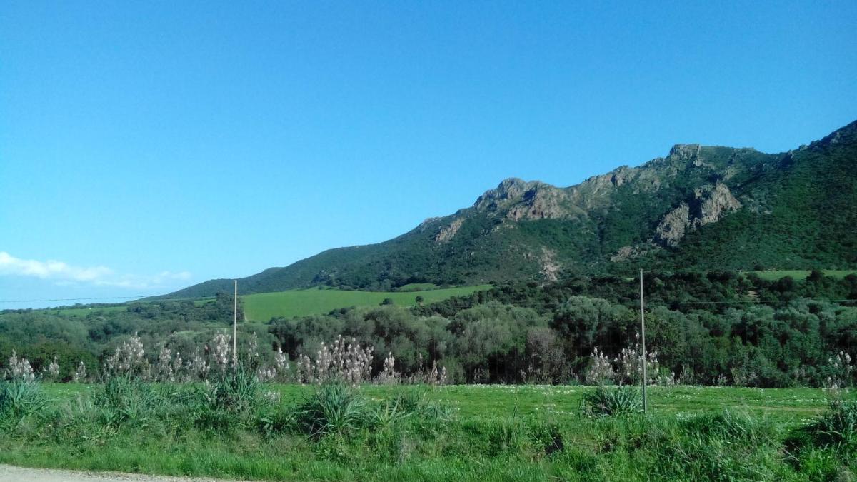 villetta Adriana - Housity