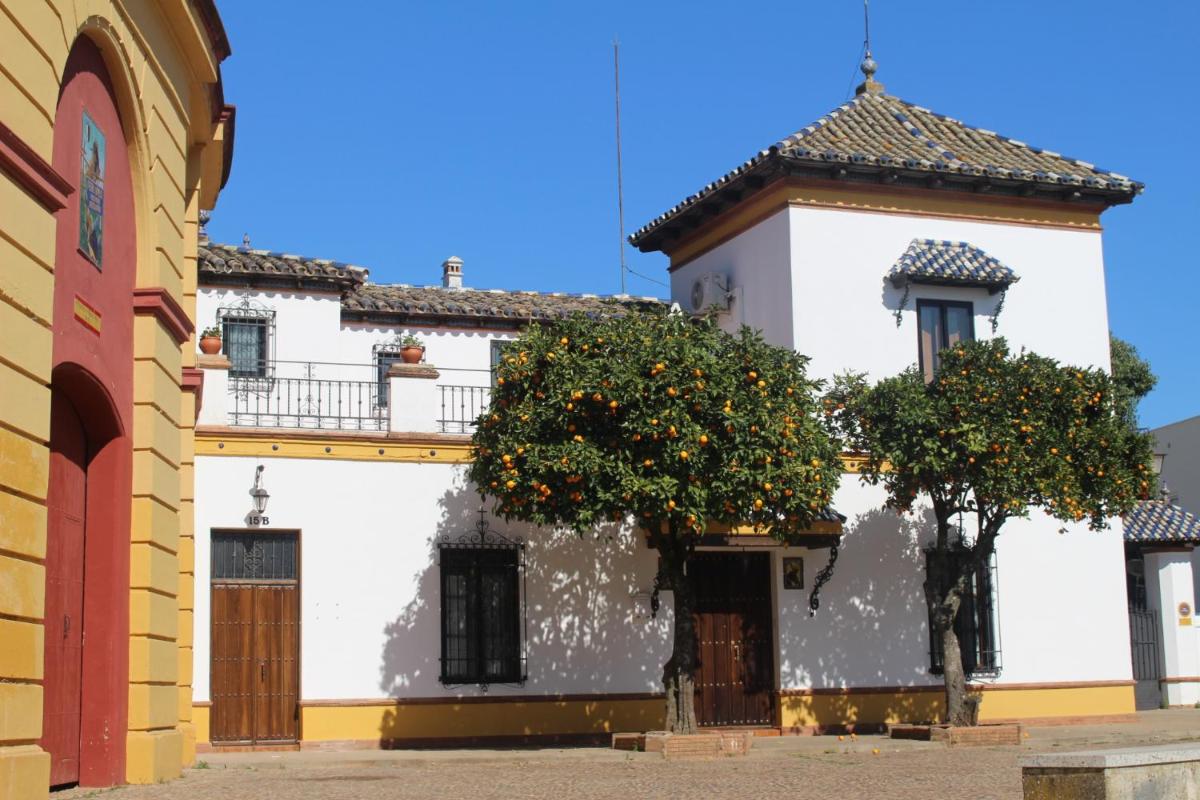 Apartamento Plaza de Toros - Housity