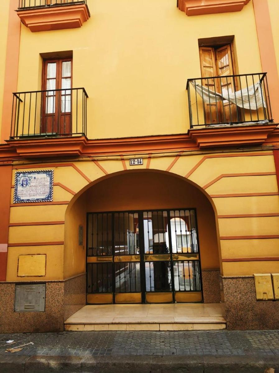 TRIANA PUREZA 12-14 - Housity