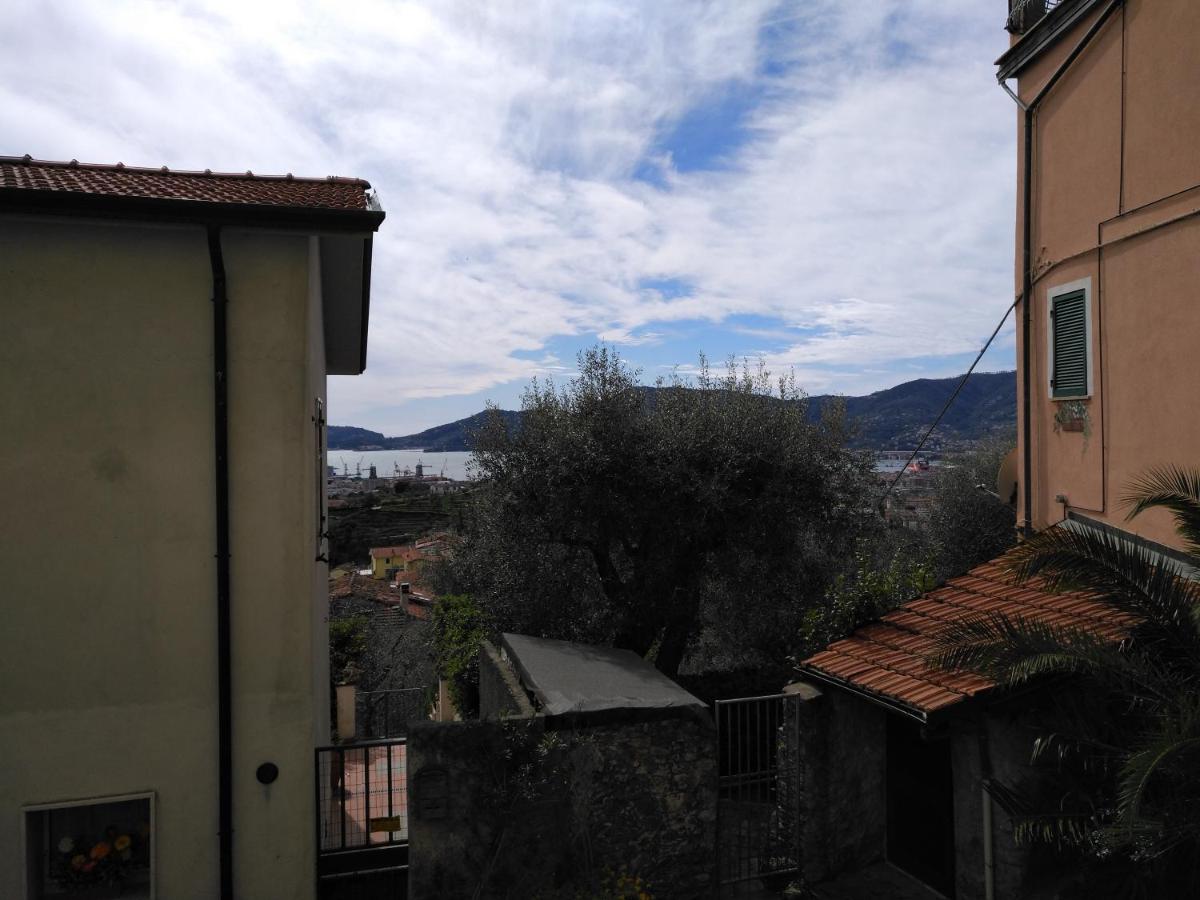 Il Piccolo Lord - Housity