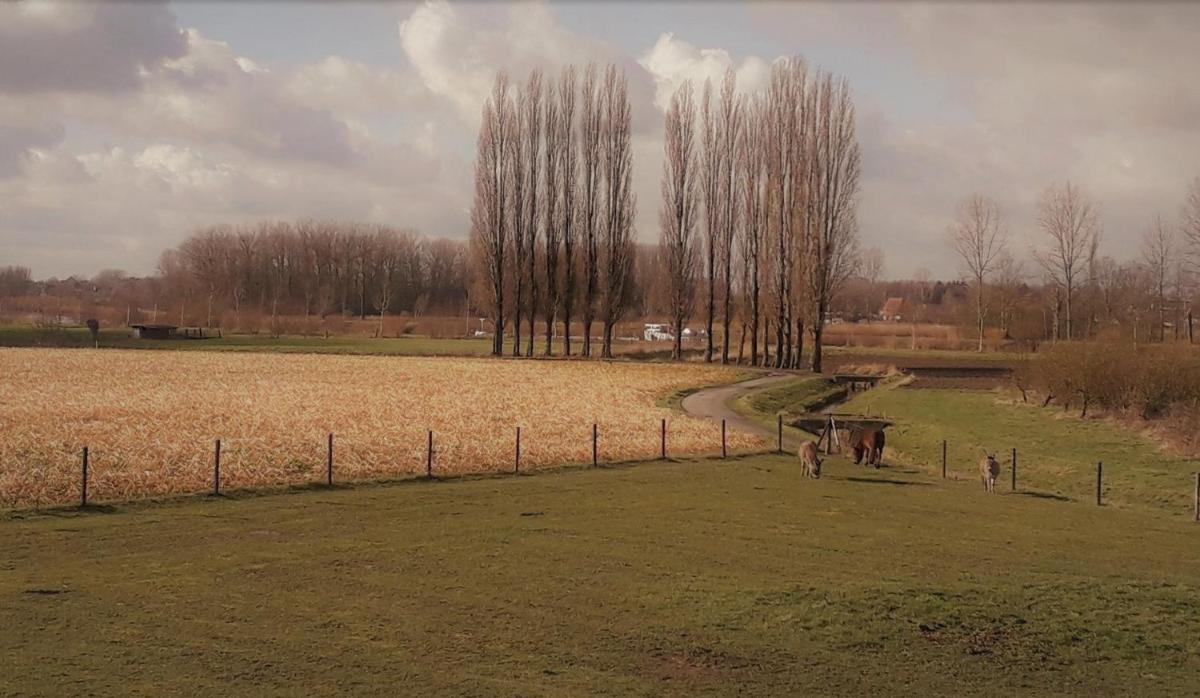 Suitetrails - Op 't Roth