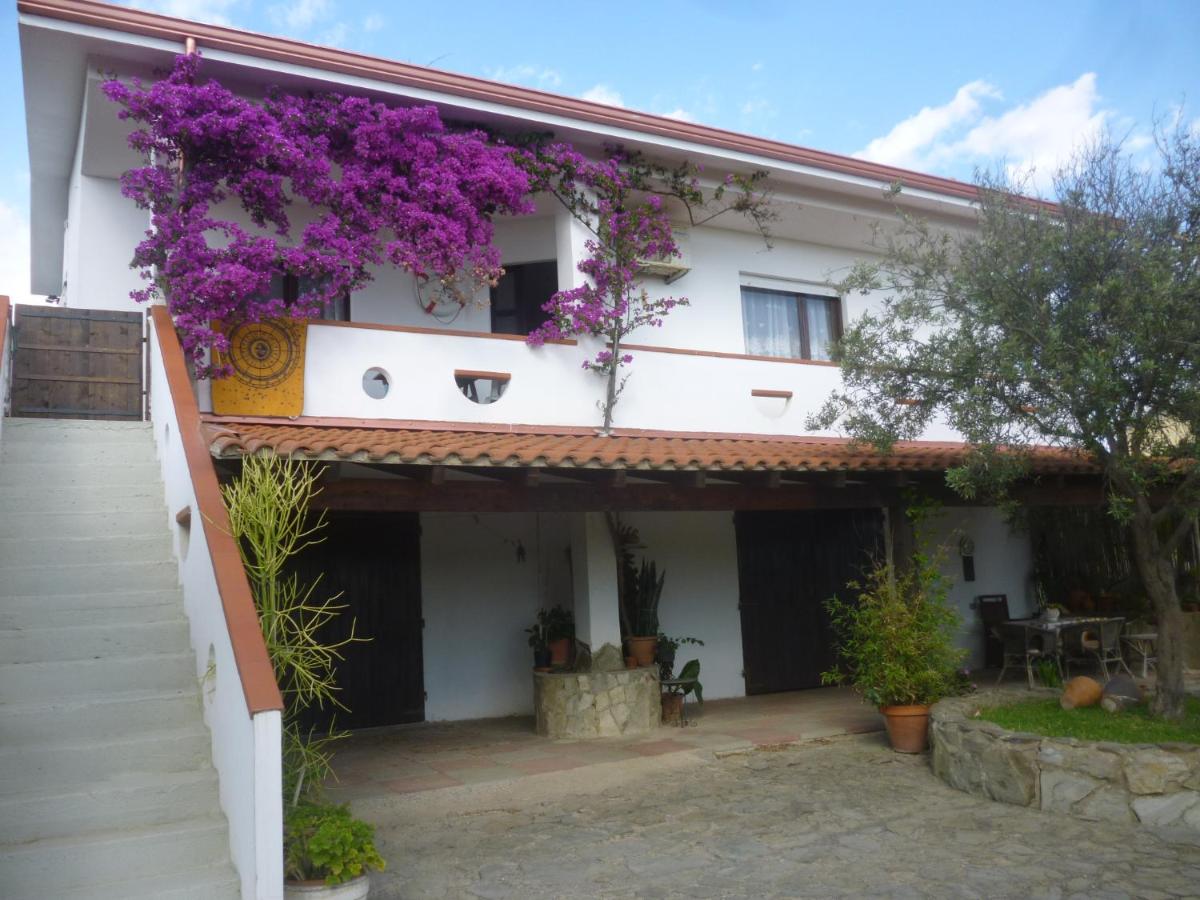 House in the most southern point of the island, completely fenced super price. - Housity