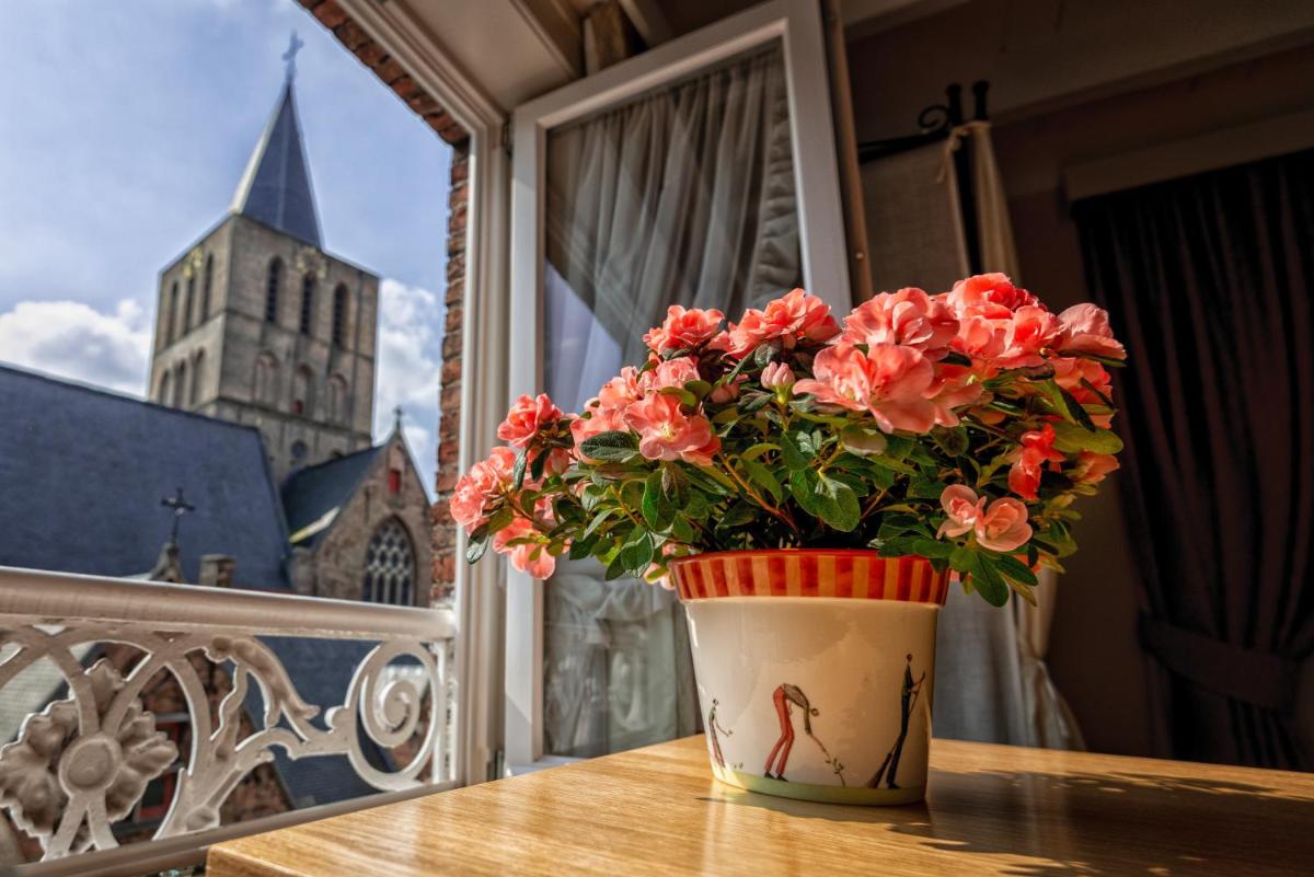 Bariseele B&B - Housity