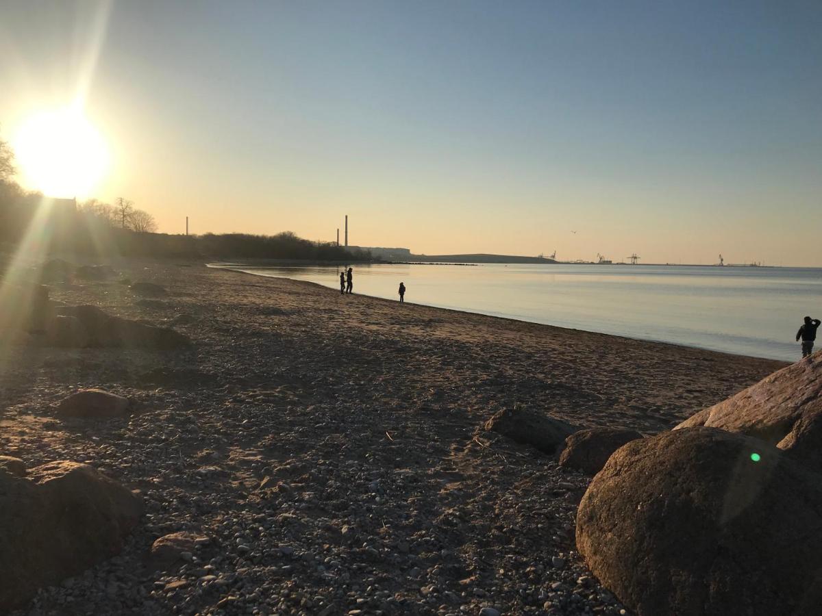 Viru pst 20 - Housity