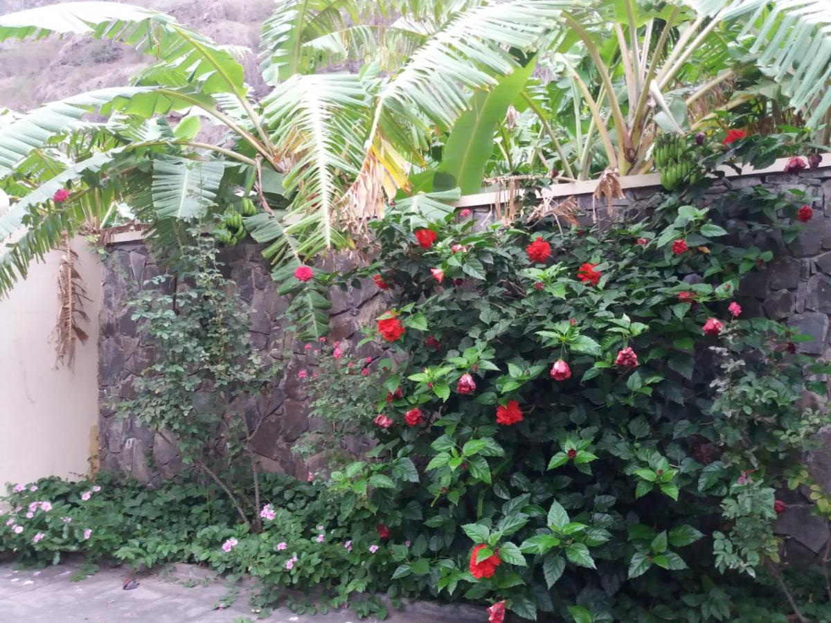 Ribeira Grande Country House - Housity