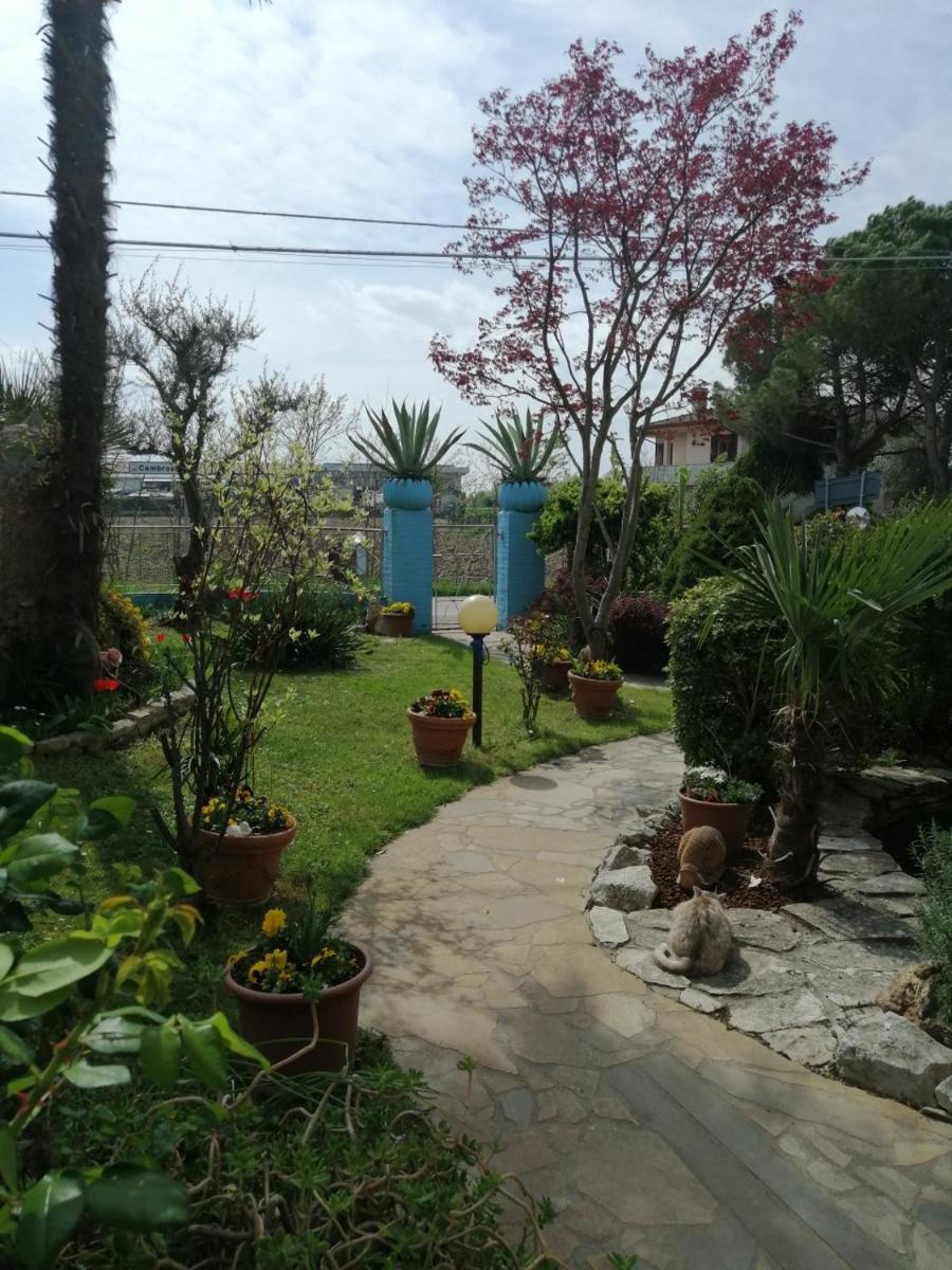 LA CARLOTTINA - Housity