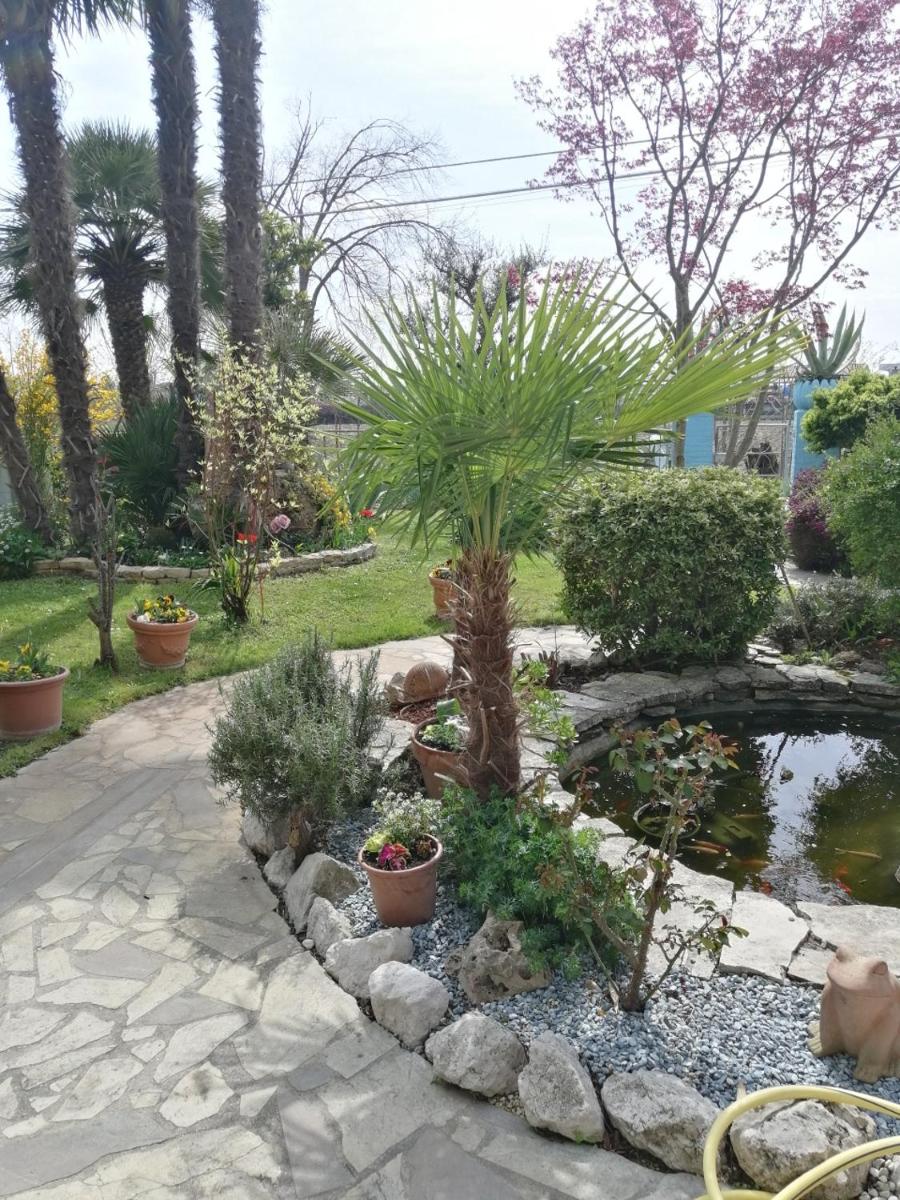 LA CARLOTTINA - Housity