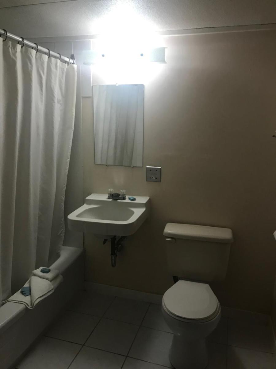 Oasis Hotel - Housity