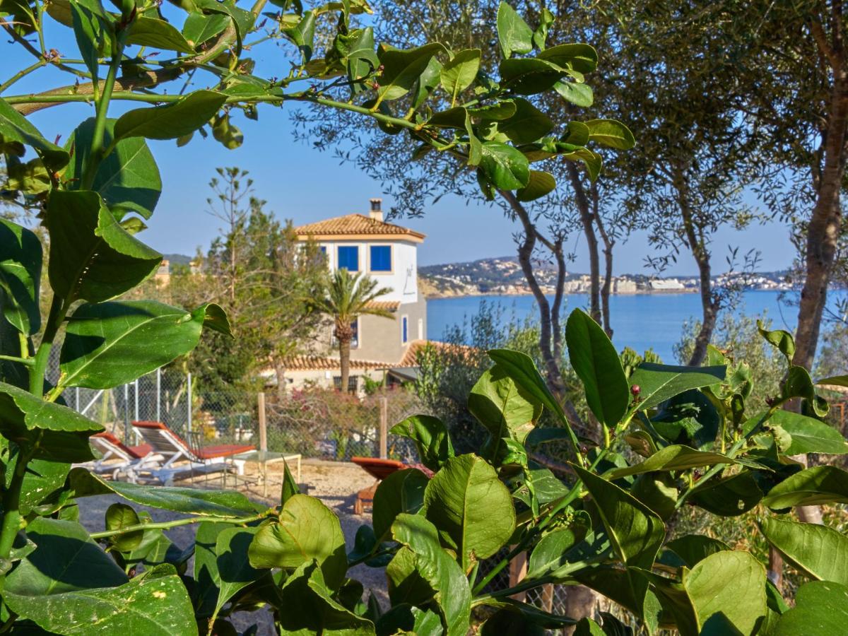Paisaje cerca de este hotel