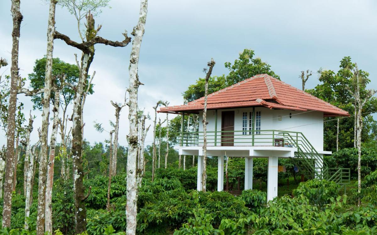THE SUVISTARA WAYANAD KERALA - Housity