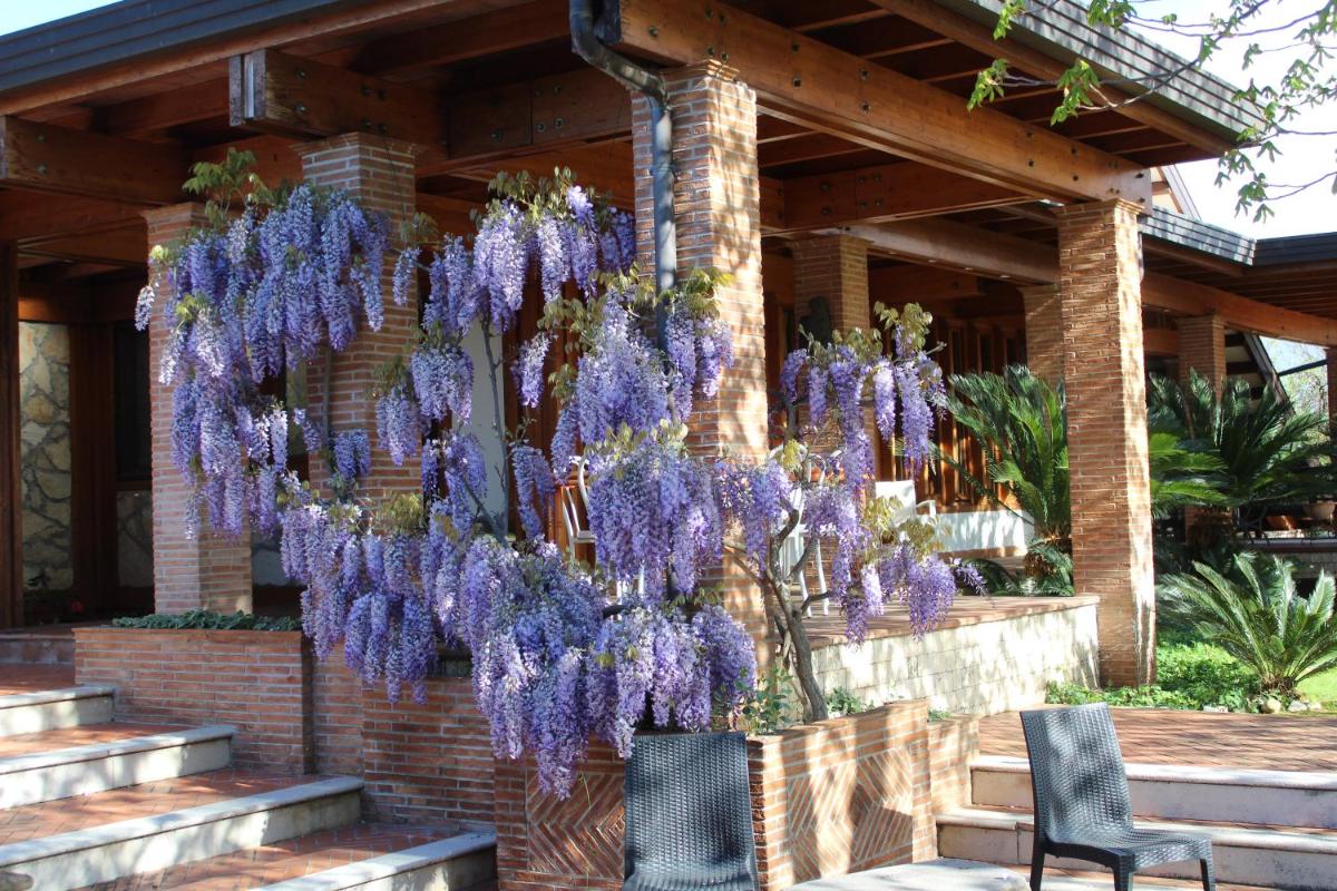 B&B Villa Sbaraglia - Housity