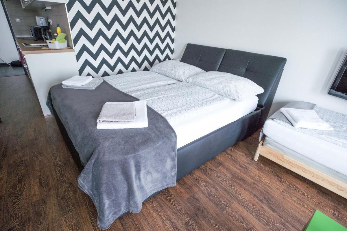 Haas Apartments Downtown with Parking - Housity