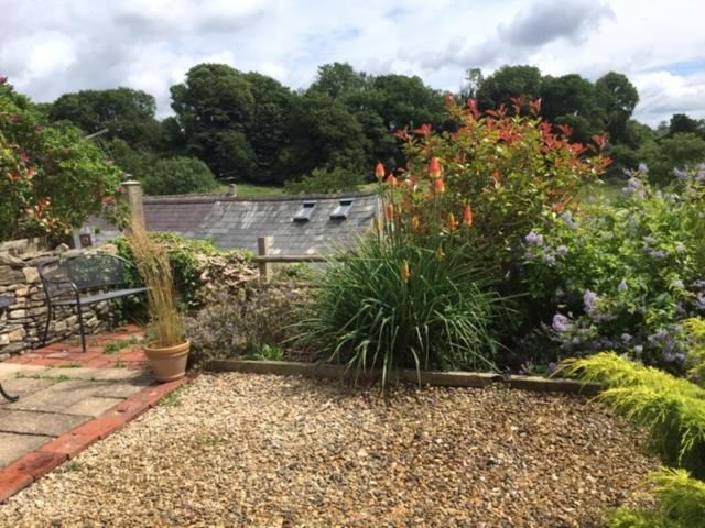 Hope Cottage - Housity