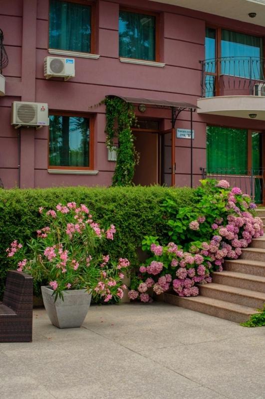Purple Star Apartments - Housity