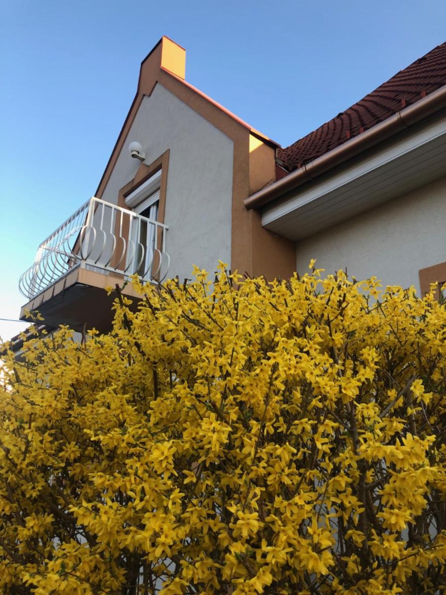 Virág Apartman - Housity