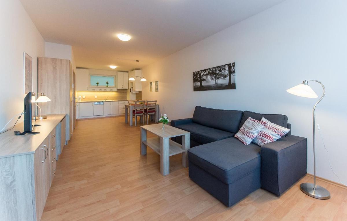 Apartmán U Lázní D22 - Housity