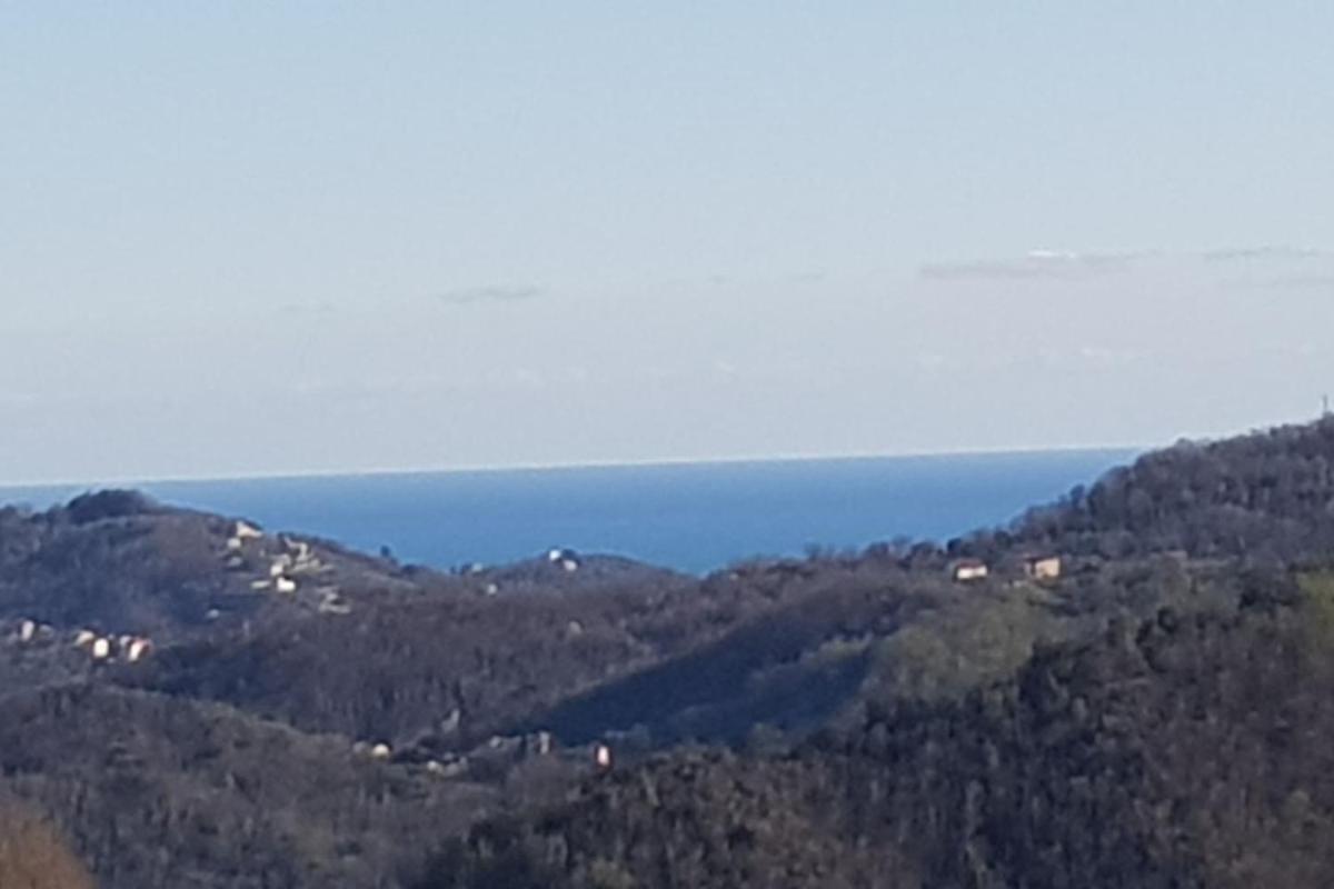 Il Villino - Housity