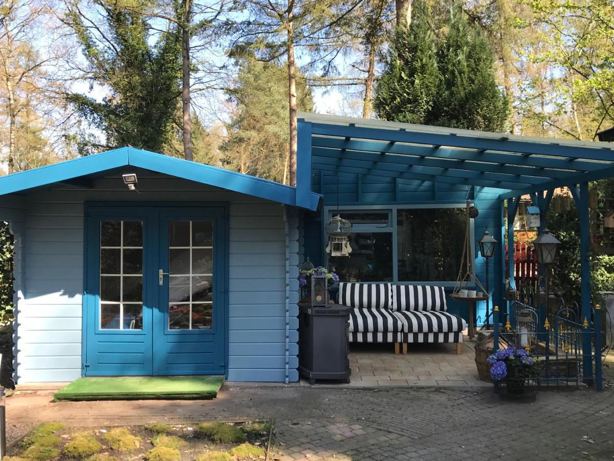 Kunstenaars Boshuisje Veluwe - Housity