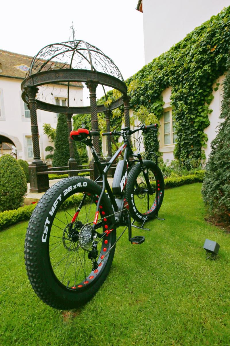 Vélo sur le terrain de l'établissement Hôtel Le Cep & Spa ou dans les environs