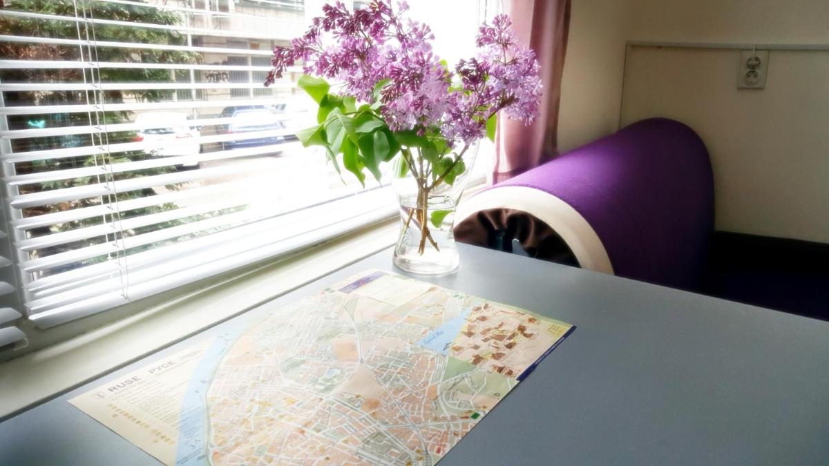 Malavi top center studio Ruse! Comfort&clean! - Housity