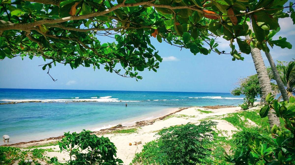 Residence Meridiana - Housity