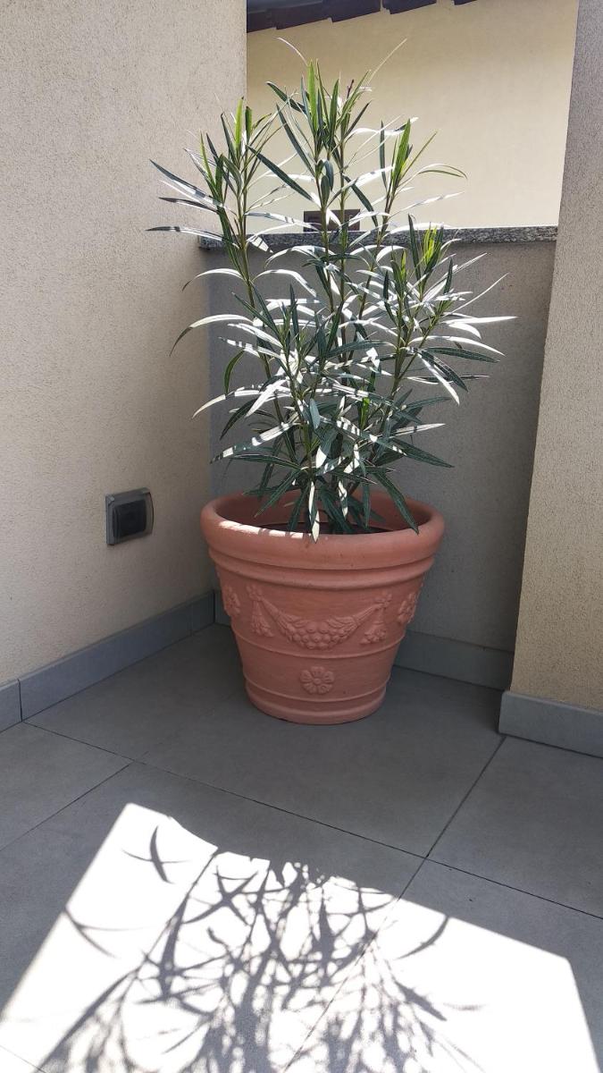 Guest@house Fiera-Rho - Housity