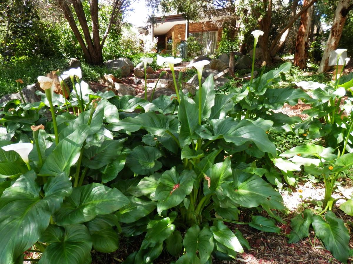 The Hideaway Luxury B&B Retreat - Housity