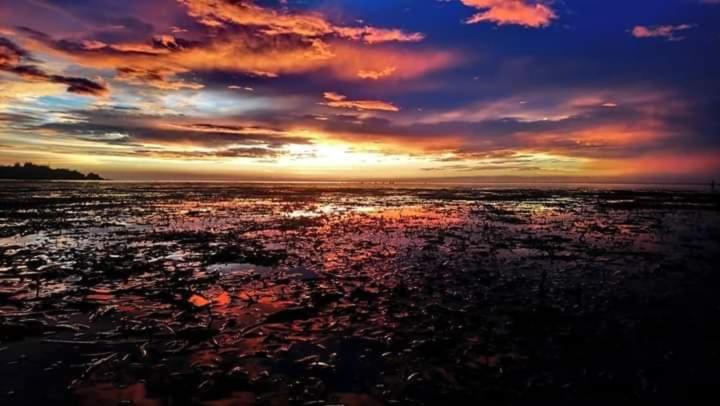 Bungalow on the Beach. Great Sunset. relaxing place - Housity