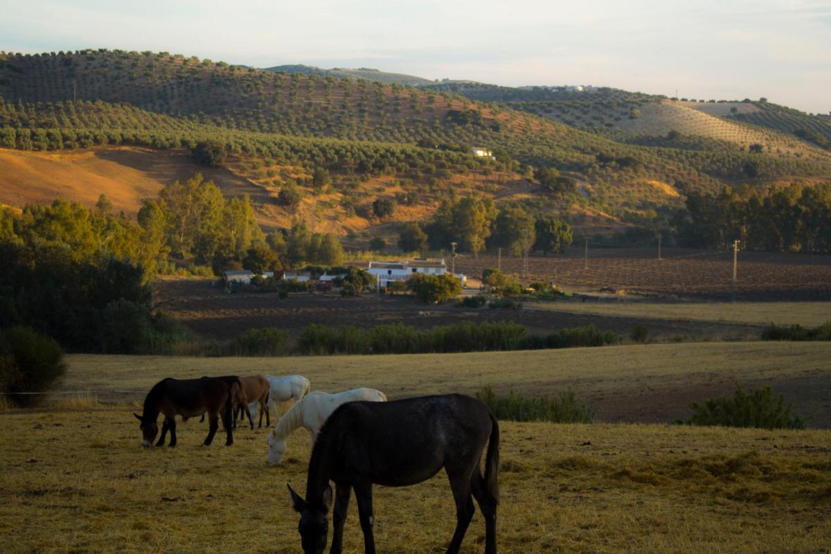 Casa Rural Asiento del Río - Housity