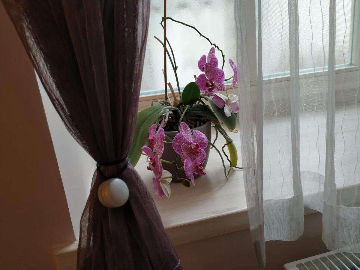 Király Apartman - Housity