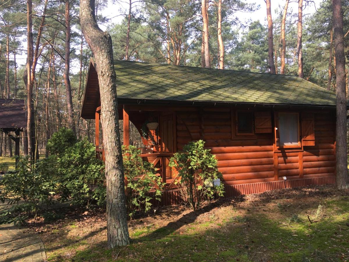 Dworek w lesie - nowy obiekt - Housity