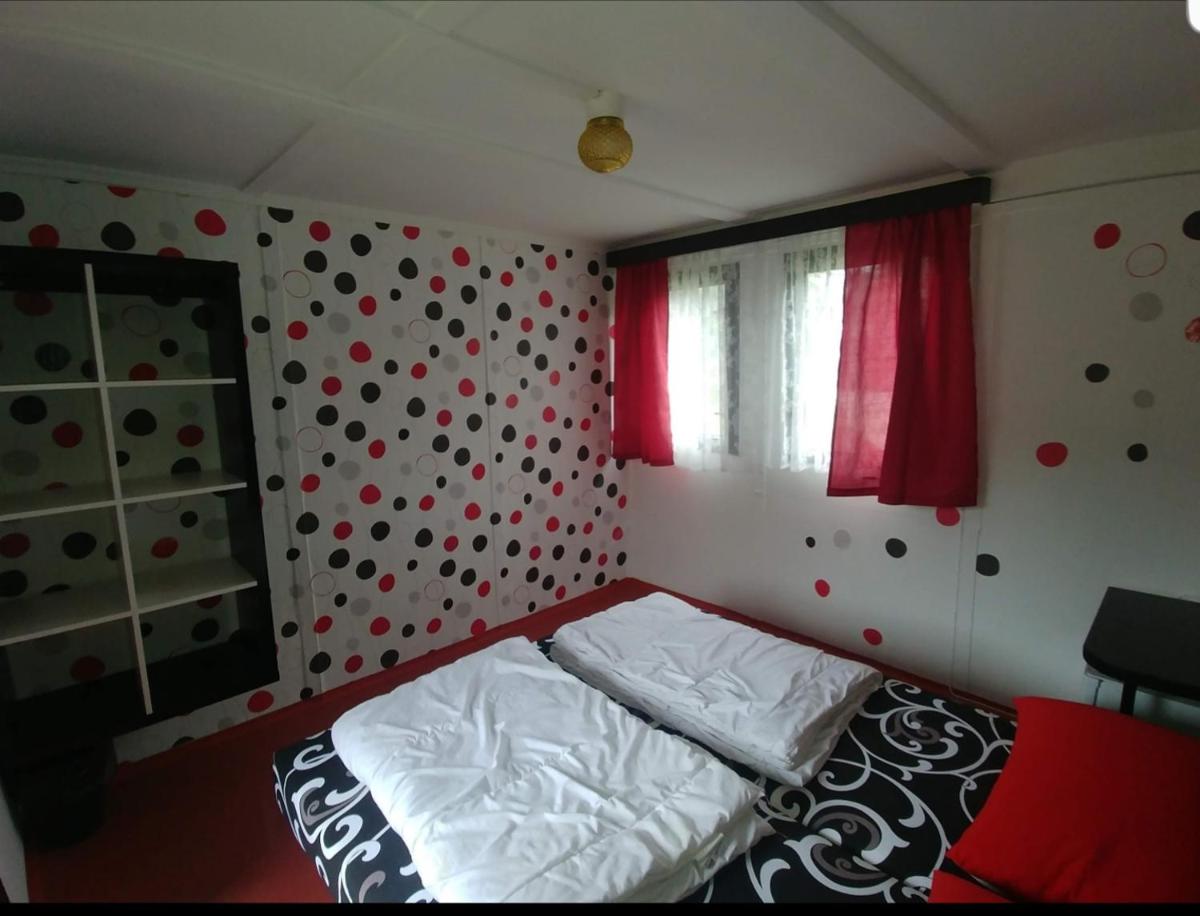 Juniorcamp Nová Živohošť - Housity