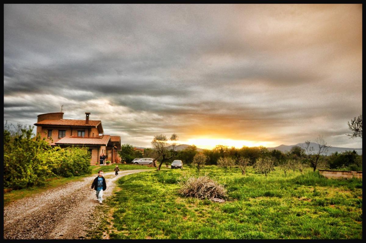 B&B Predio San Fernando - Housity