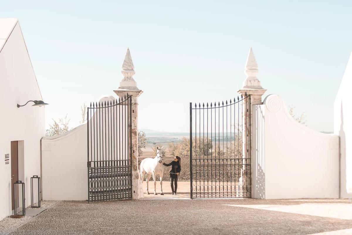 Imagem da galeria de Torre de Palma Wine Hotel, Monforte, a Member of Design Hotels em Monforte