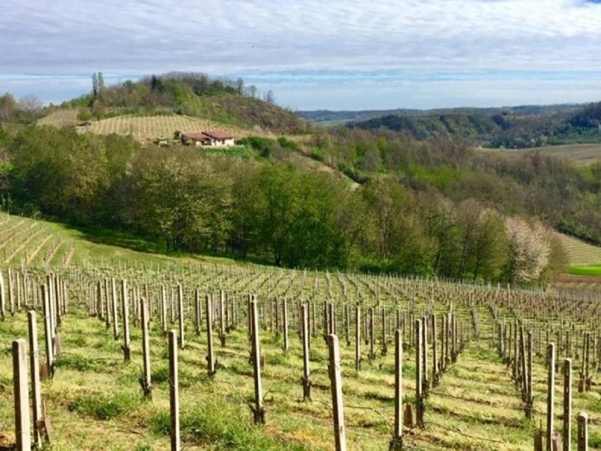 Large secluded villa, fabulous countryside views, beautiful Piedmonte landscape - Housity
