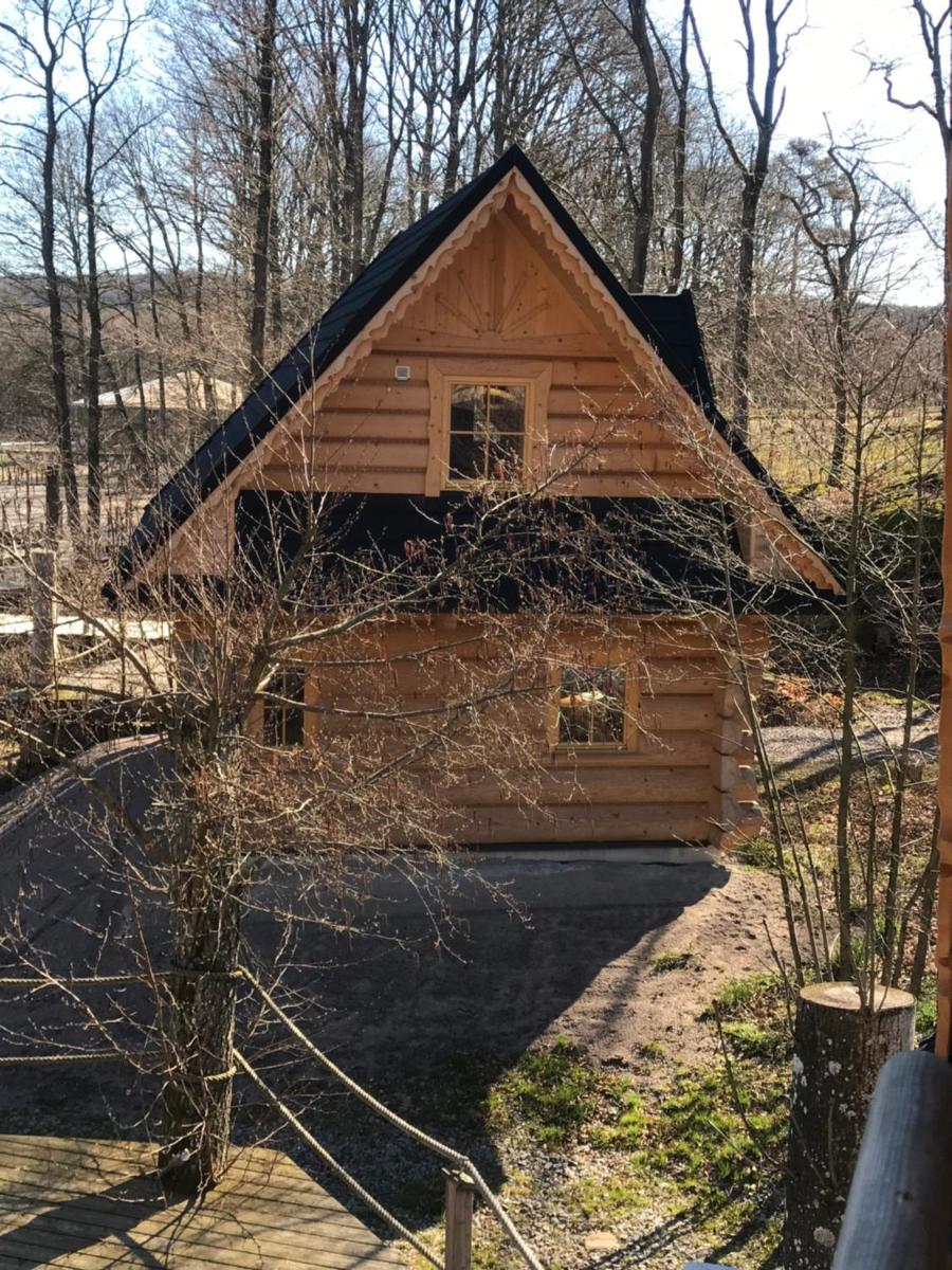 Dartmoor Cottage - Housity