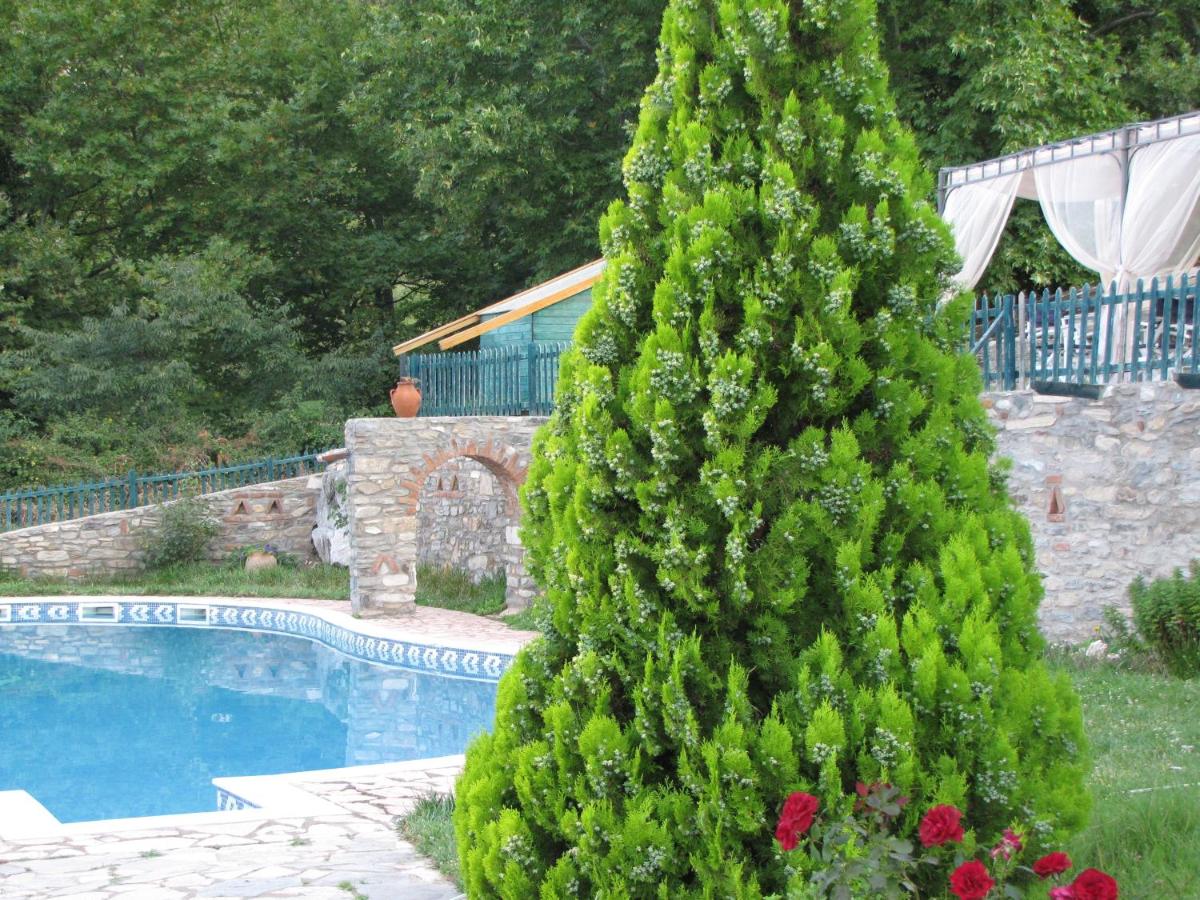 Dionysus Village Resort - Housity