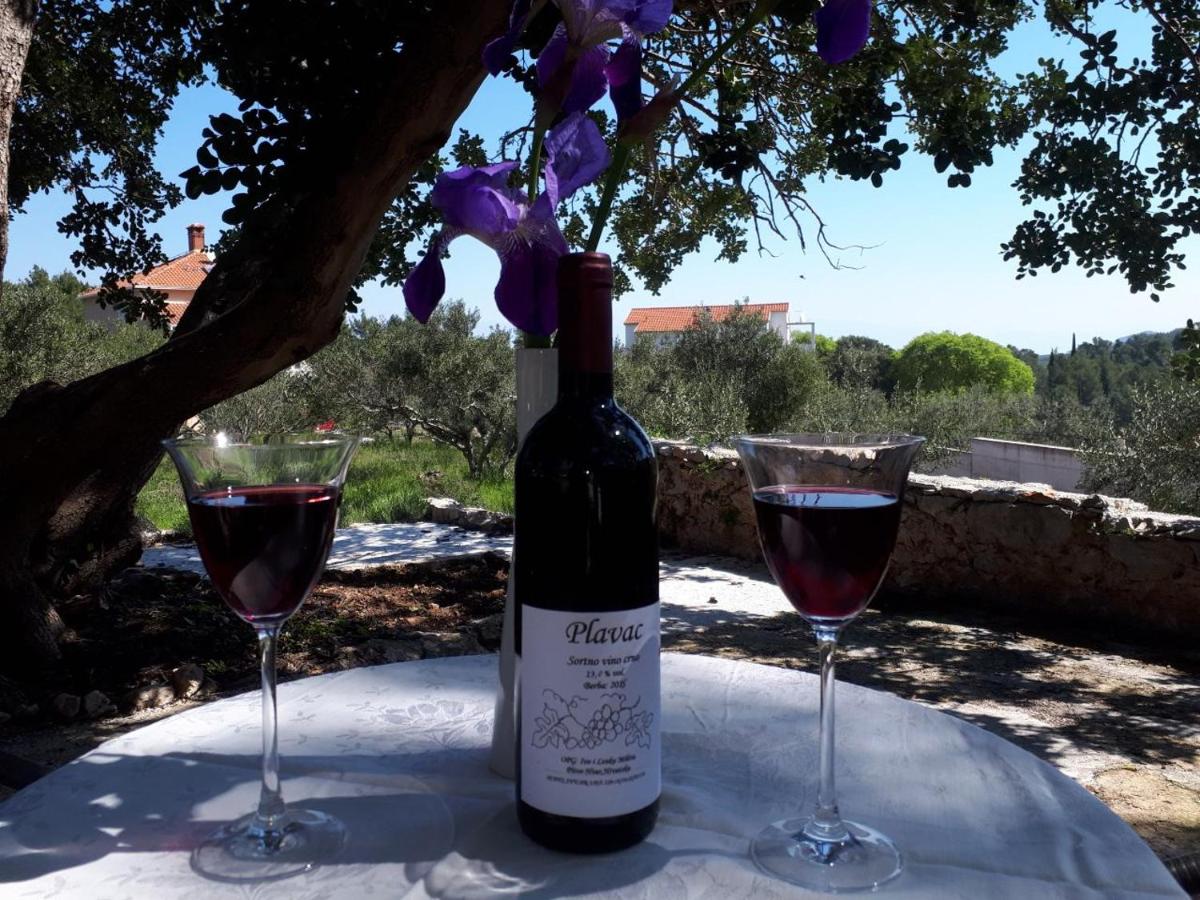 Studio Apartment Mileta - Housity