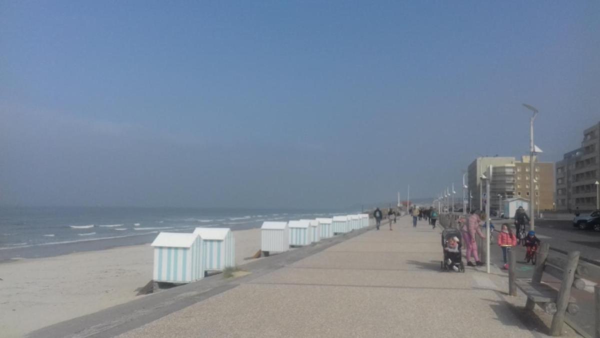 La Reine des Plages - Housity