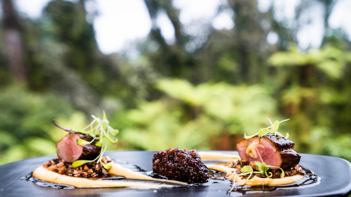 Te Waonui Forest Retreat - Housity