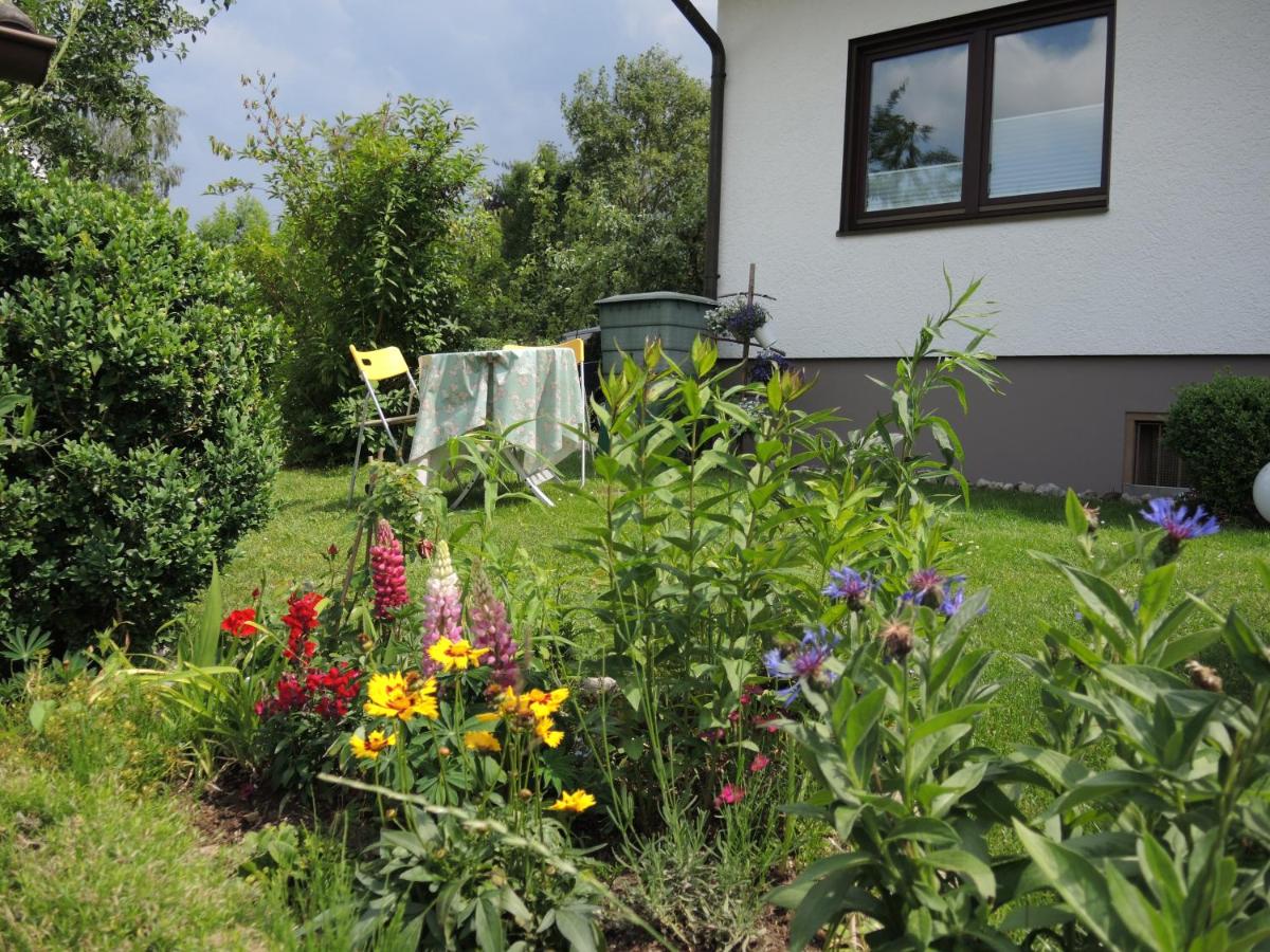 Bei Mechlers - Housity