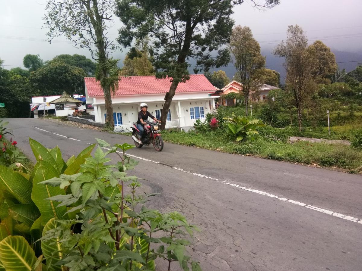 Villaloe - Housity