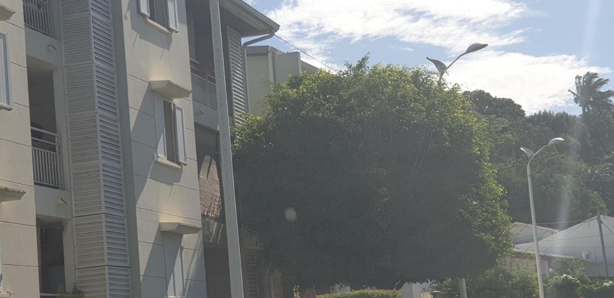 T2 confort et chaleureux (bienvenue chez zot) - Housity