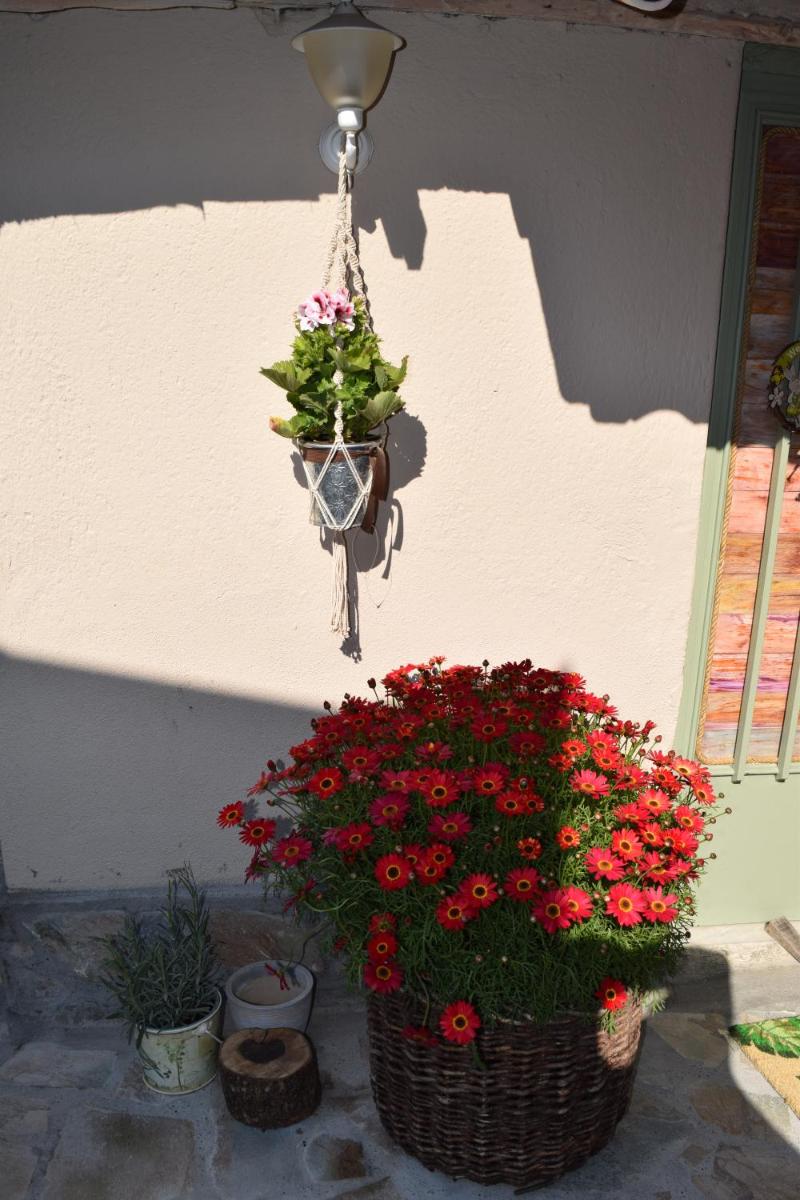 Rina's House - Housity