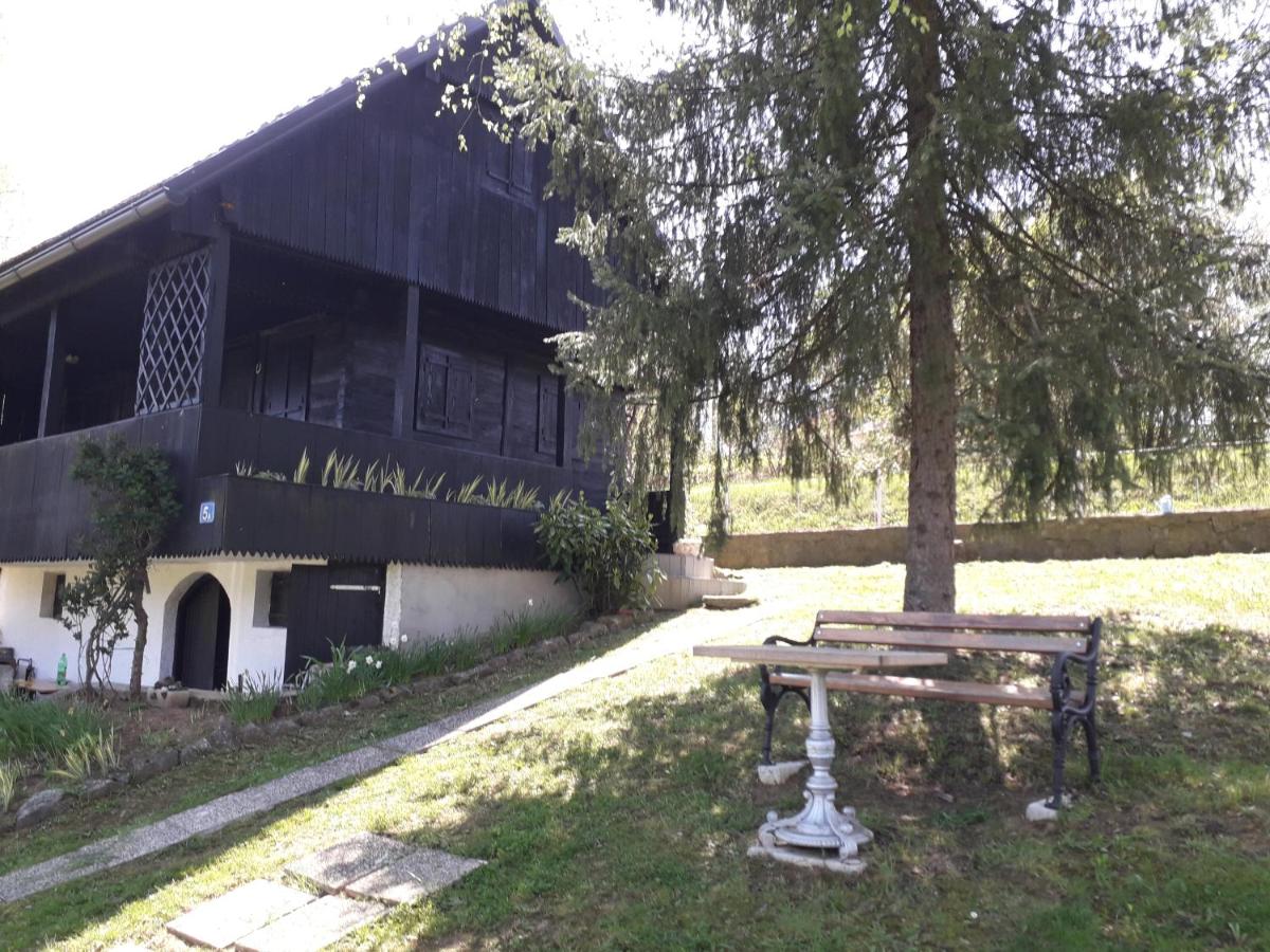 Apartment Jurica - Housity
