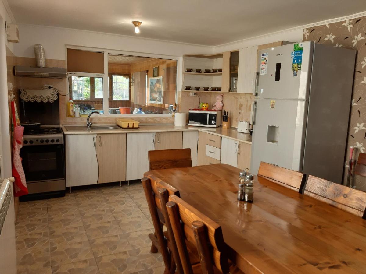 Casa cu Trandafiri Murighiol - Housity