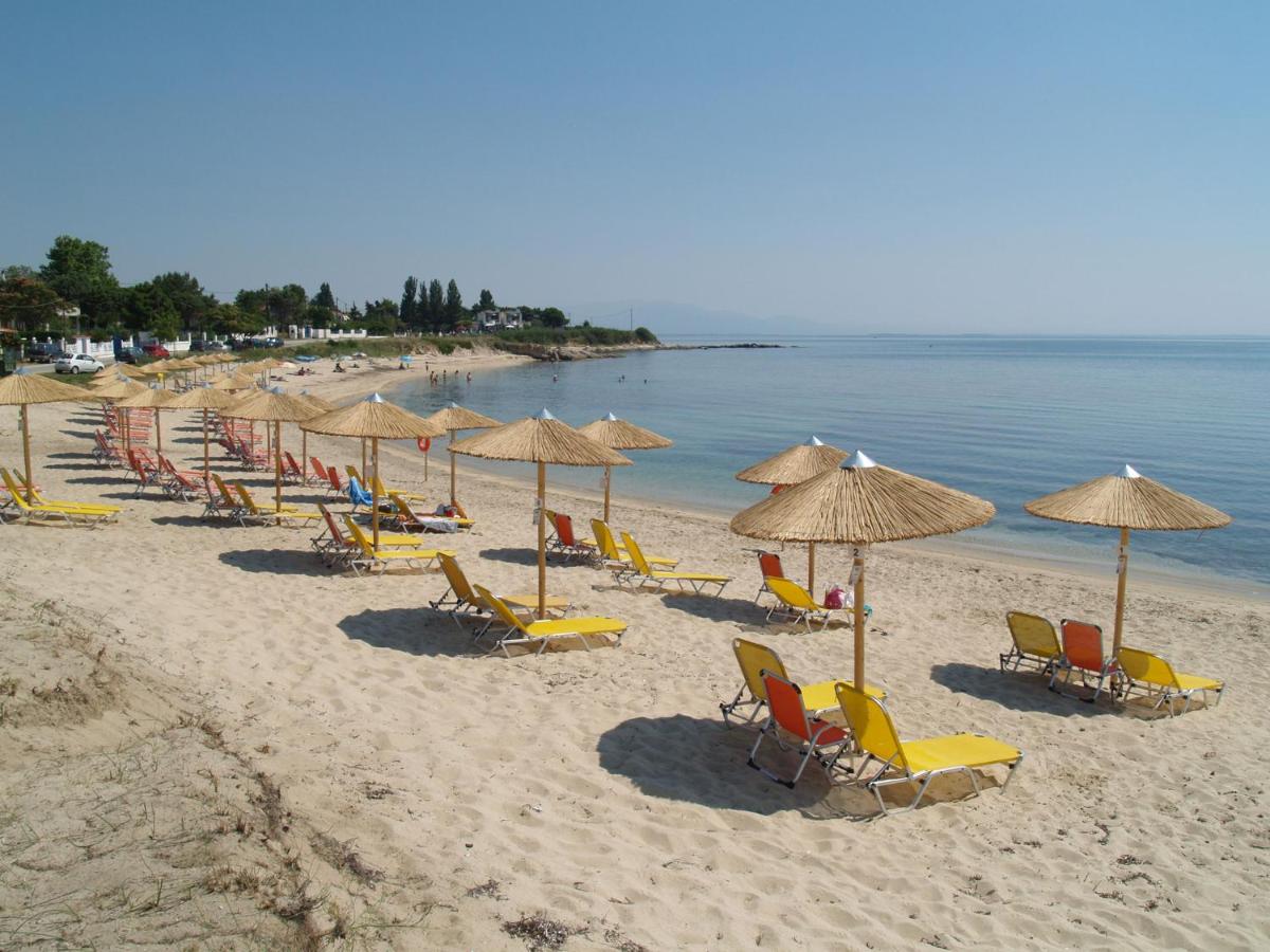 Savas House - Housity